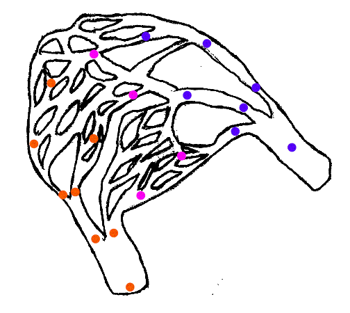 capillary.gif (86538 bytes)