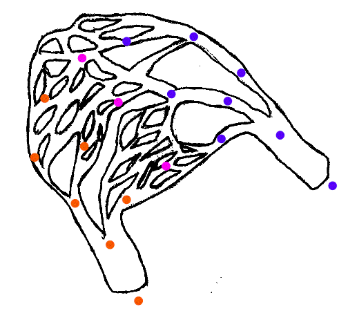 capillary1.gif (21533 bytes)