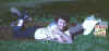 Mom_Picnic.jpg (52101 bytes)