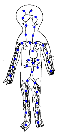 veins.gif (55416 bytes)