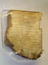 x000806.jpg (15790 bytes)