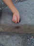x001216.jpg (14952 bytes)